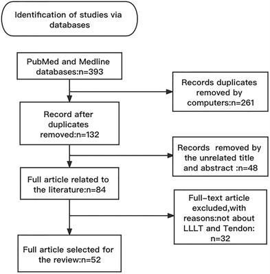 The Functions and Mechanisms of Low-Level Laser Therapy in Tendon Repair (Review)